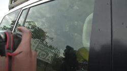 US woman bailed in Zimbabwe tweet subversion case Instructional Video