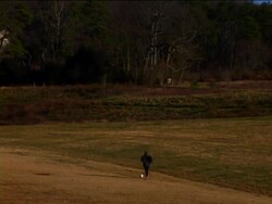 Soccer Stock Footage