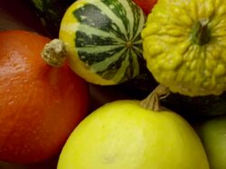 Autumn vegetables Stock Footage