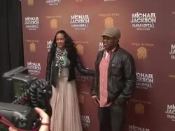 Sway at Michael Jackson: "The Immortal" World Tour - New York Premiere Stock Footage