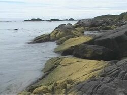 Waves lapping on algae covered rocks, Chile Stock Footage