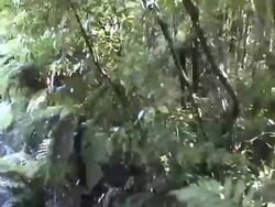 On the old historical locomotive Stock Footage