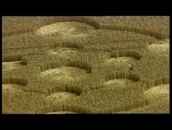 Crop circle aerials News Clip