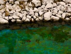 Water texture and stone Stock Footage