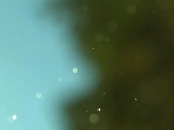 Seed heads shaken, water drops disperse Stock Footage