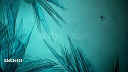 Chemical reaction under microscope Stock Footage