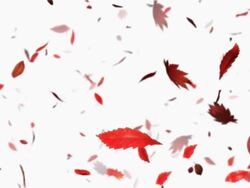 Dead leaf Stock Footage