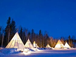 WS T/L Aurora above Aurora Village / Yellowknife, Yellowknife, Canada Stock Footage