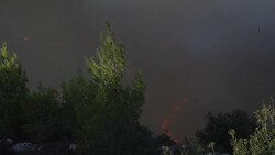 CLEAN : Bushfires still blazing near Jerusalem News Clip