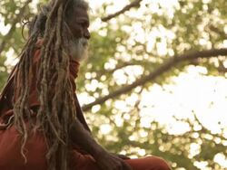 Low angle view of a sage worshipping, Rishikesh, Uttarakhand, India Stock Footage