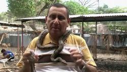 Snake security scares off potential thieves ++REPLAY++ Instructional Video