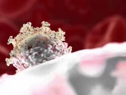 HIV particles budding. Animation of HIV (human immunodeficiency virus) budding from a host cell Stock Footage