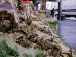Oysters at Pike Place Market, Seattle WA Stock Footage