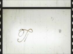 End of the film Stock Footage