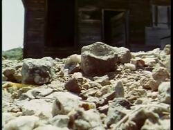 CU Giant centipede, Scolopendra gigantea, crawling over rubble, past camera, USA Stock Footage