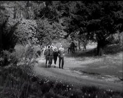 MOVIETONE'S EASTER PARADE News Clip