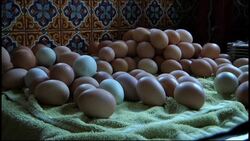 Slow Money movement alternative way to invest News Clip