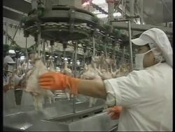 THAILAND: INCREASE IN EXPORTS WILL HELP ECONOMIC PROBLEMS News Clip