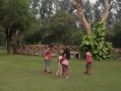 Group of kids playing cricket in holi festival  Stock Footage