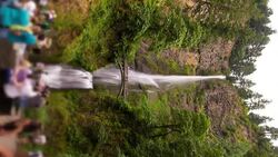 Multnomah Falls Vertical Stock Footage