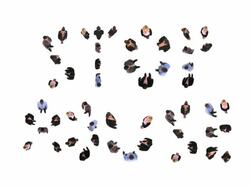 HD: Stop Abuse Stock Footage