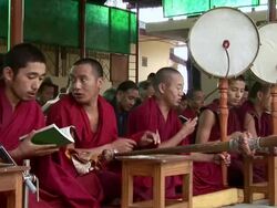 MS Monks beating drum during chant / Dharamsala, Himachal Pradesh, India  Stock Footage