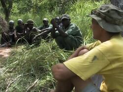 Illegal logging in Mozambique Miombo News Clip