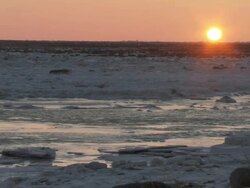 WS Sunset over arctic landscape / Churchill, Manitoba, Canada Stock Footage