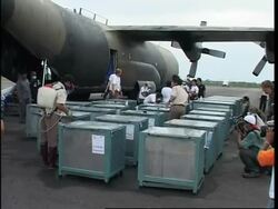 48 smuggled orangutans arrive home in Indonesia News Clip