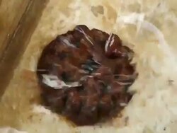 Water flowing into filter tanks. Stock Footage