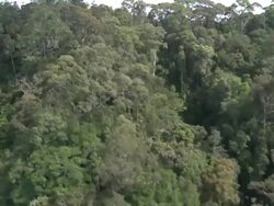 Aerial ridge of rainforest, Maliau Basin, Sabah, Malaysia, Borneo Stock Footage
