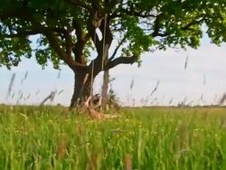 SLO MO Young girl swinging in the meadow Stock Footage