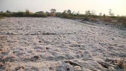 Barren field with salt crystals Stock Footage