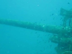 military gun Stock Footage