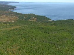 WS ARIEAL DS View of Island / Maine, United States Stock Footage