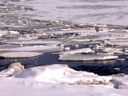 Ice floating on the water Stock Footage