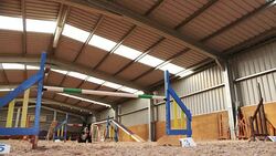 Border Collie in Agility Test Stock Footage