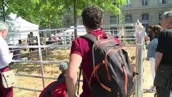 CLEAN : Paris Place de la Republique goes green to promote biodiversity News Clip