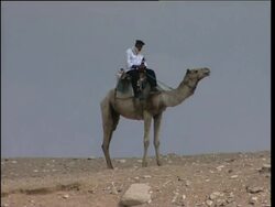 Brilliantly coloured mummy unveiled News Clip