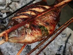 CU Shot of fish on cooking on stick / Kuang Si, Luang Prabang, Laos Stock Footage