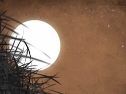 Full Moon And Mysterious Night Stock Footage