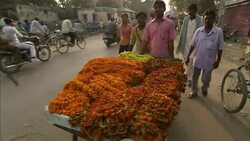 Young men wheel a cart full of marigold necklaces along a busy street in India. Stock Footage