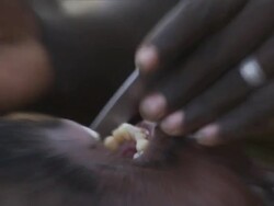 CU ZI  Man's teeth are sharping  another man with large knife and stone / Republic of Djibouti Stock Footage