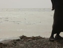 Man standing by the river Stock Footage