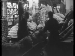 Tower Bridge: Looking at London, 1968, part 7 - Unloading and transportation of bacon cargo around London Stock Footage