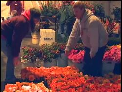 It's getting close to the time when floats in the Tournament of Roses parade need to look their best. It all happens with the help of students, willing to dip their hands in glue and press flowers and vegetation onto the sides of floats News Clip