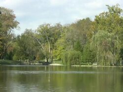 Park on a lake, HD video Stock Footage