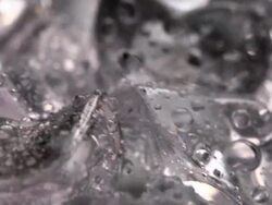 Ice cubes Stock Footage