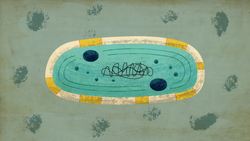 TED-Ed: How a single-celled organism almost wiped out life on Earth - Anusuya Willis Instructional Video