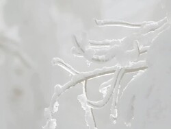 CU Geothermal steam passing in front of snow laden branches / Yellowstone National Park, Wyoming, United  Stock Footage